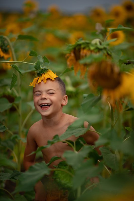 поле с подсолнухами счастьеphoto preview