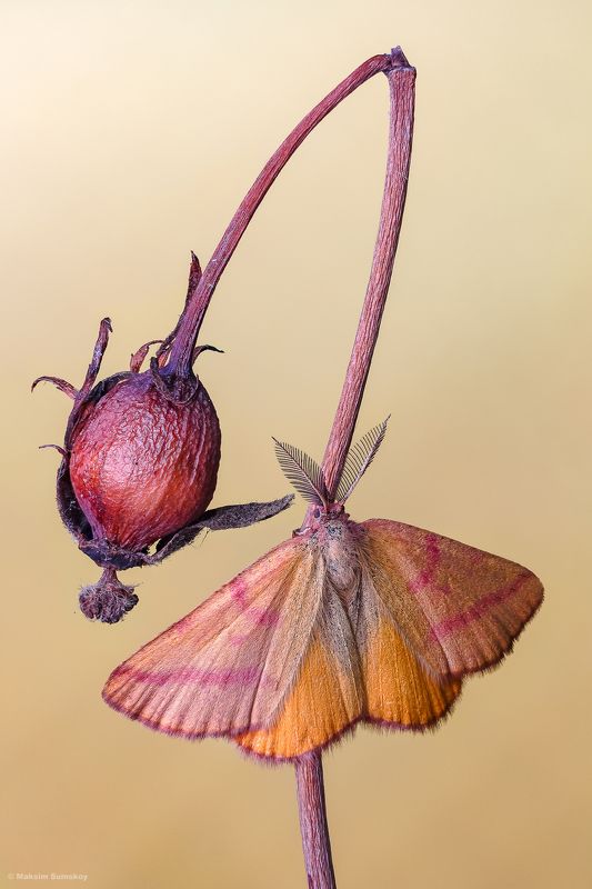 Скоро осеньphoto preview