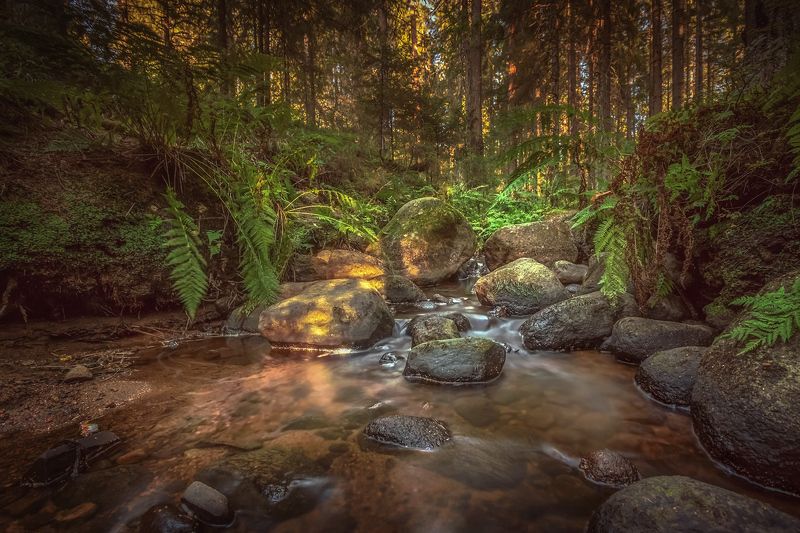 Чудесный ручей, Рощино, Ленинградская область.photo preview