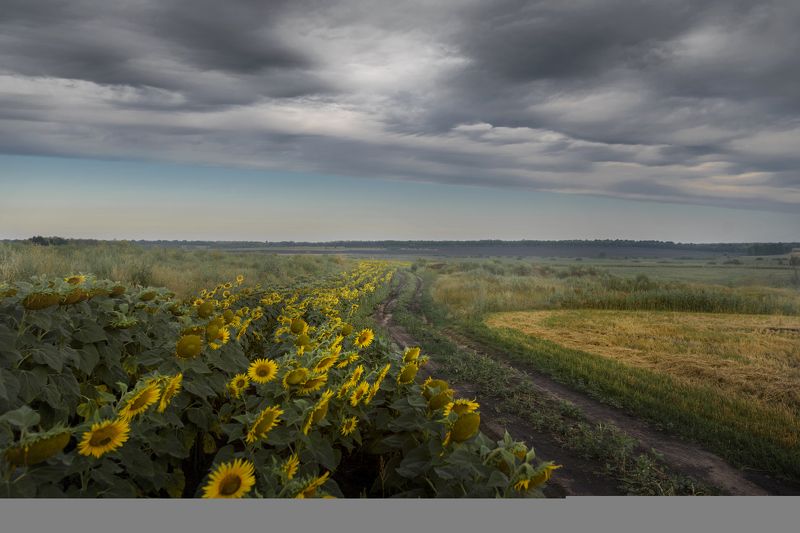 Под серебренным небомphoto preview