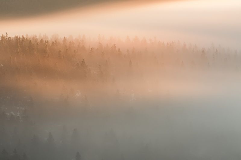 landscape, tree, sunrise, panorama Light in the Landscapephoto preview