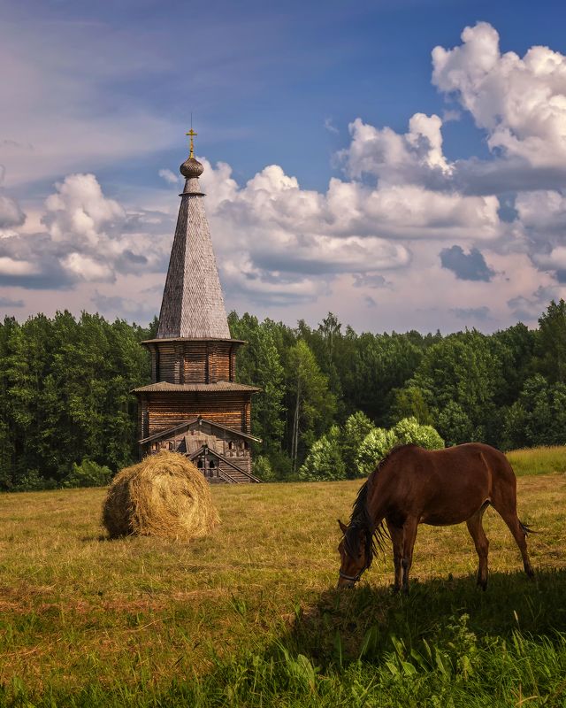 Вогодская обл., Семёнково, деревянное зодчество Августphoto preview