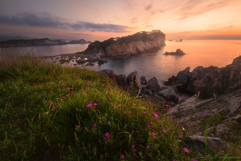 россия,приморский край,хасанский район,бухта орлинка ,море,скалы,камни,тучи,свет,трава,дмитрий подкопаев,мыс астафьева. Летний рассвет на островах.photo preview