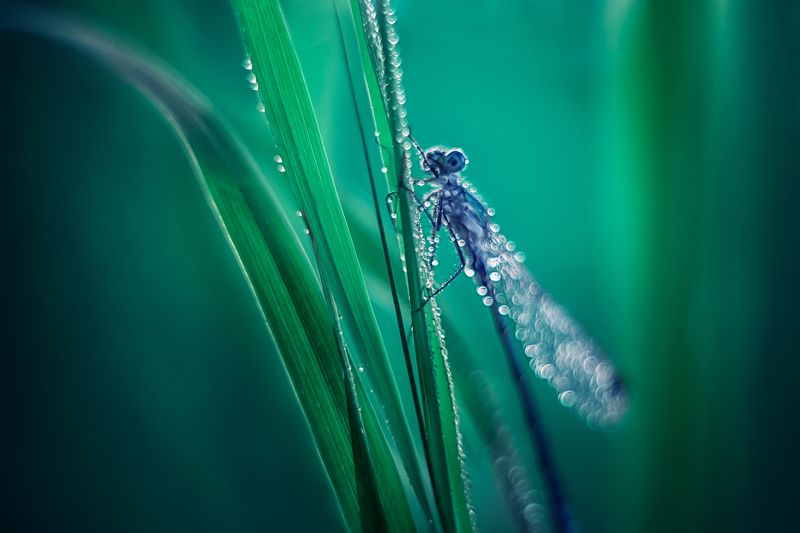 В затерянном мире фото превью