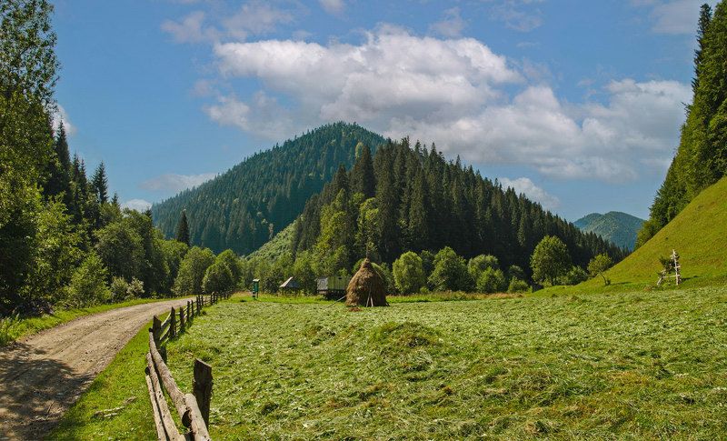 карпаты, мармаросы, гуцульские альпы, лето, вершина петрос мармаросский, вид от села богдан Карпатские пирамидыphoto preview