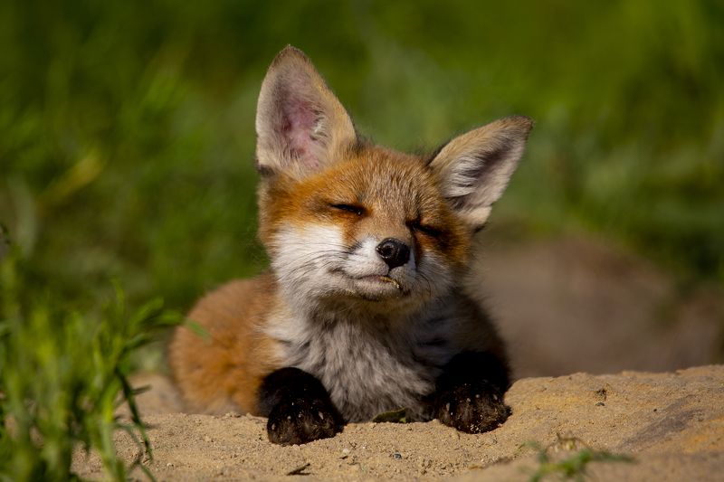 да брось заливать!photo preview