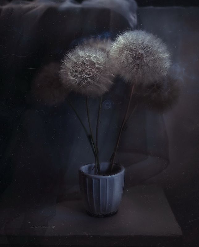 лунтики*photo preview