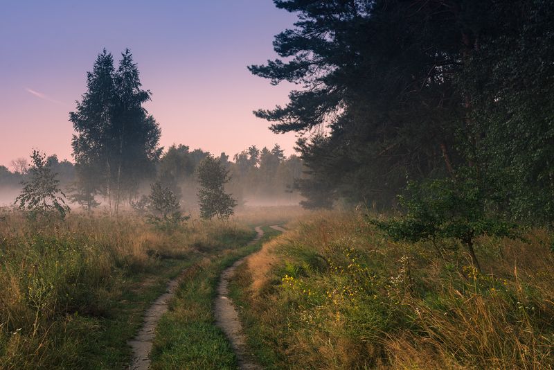 луг лето август рассвет туман Восходит новый день над царством тишиныphoto preview