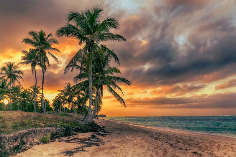 Три-девятое царствоphoto preview