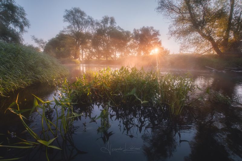 угра,утро,пейзаж,рассвет,лето,туман,солнце,лучи Утро августаphoto preview