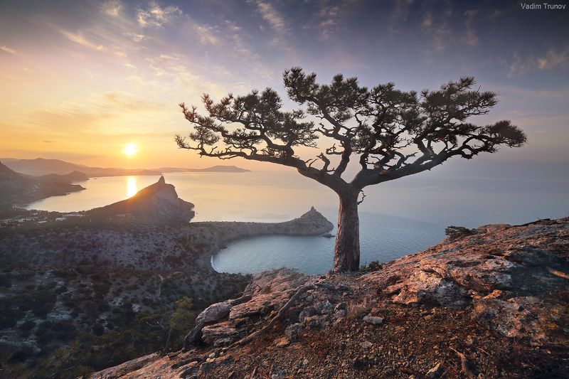 крым, новый свет Новый Свет фото превью