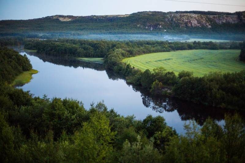 туман, река, лето, белые ночи, деревья Вечерний туманphoto preview