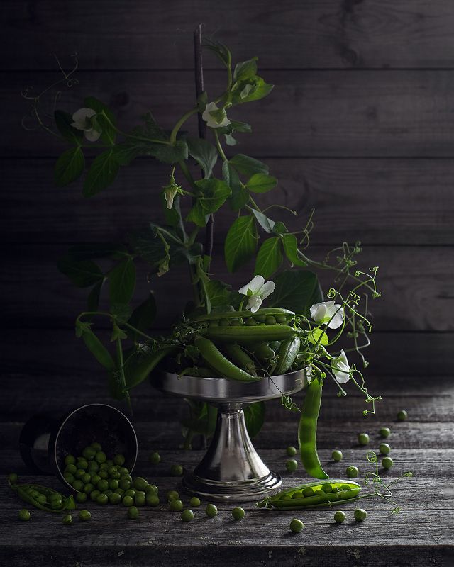 натюрморт фотонатюрморт горох горошек букет Натюрморт с горохомphoto preview