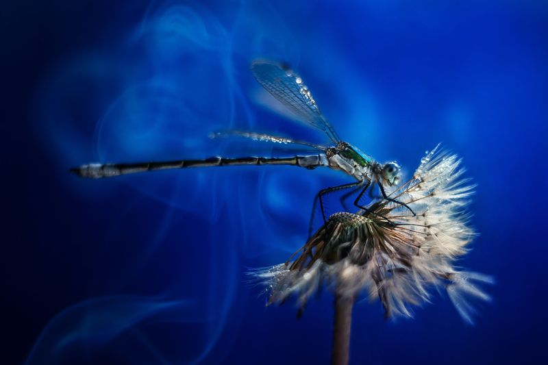 Таинственная фото превью