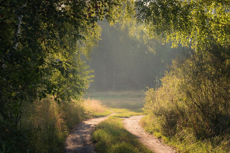 луг, лето, , август, утро, рассвет Когда на душе теплоphoto preview