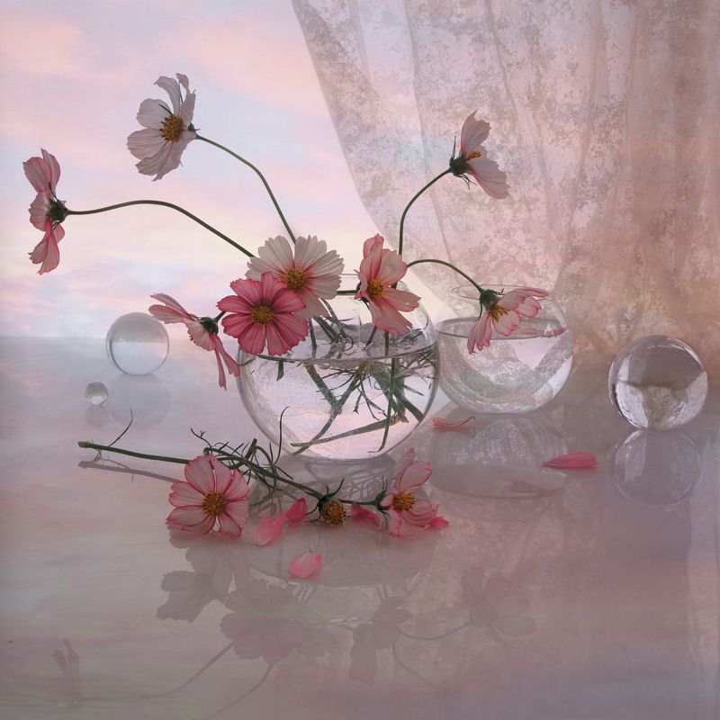 Летний вечерphoto preview