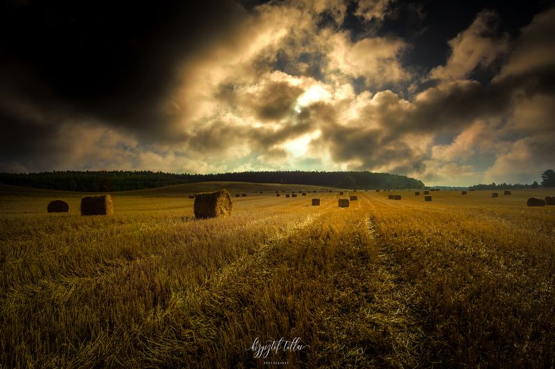 Field  hay bales  landscape  nature  summer  sun  sky  clouds  dramatic clouds  morning  cultivation  agriculture  nikon  light  Agricultural Field  Landscape - Scenery  Storm clouds over the fieldsphoto preview