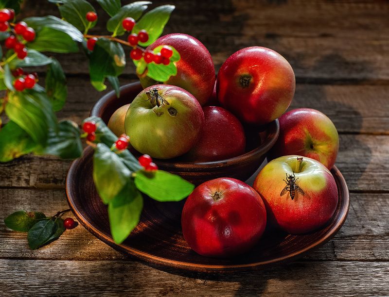 натюрморт фотонатюрморт яблоки лето  Яблочный спасphoto preview