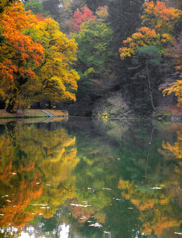 Зеркало осени.photo preview