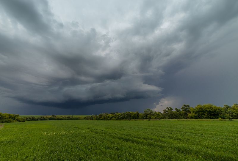пейзаж, лето, июнь, степь Storm фото превью