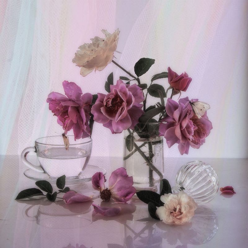 Розы цвЕта сирениphoto preview