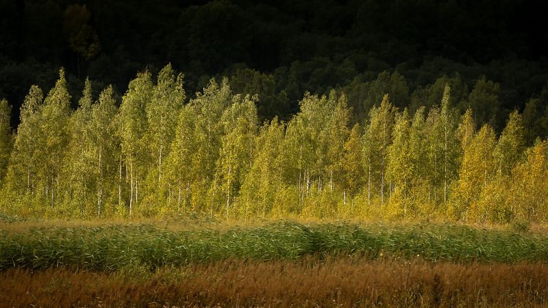 Псковская область /Изборскphoto preview