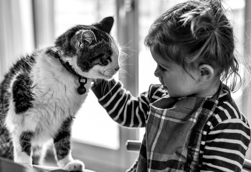 Давай дружить...photo preview