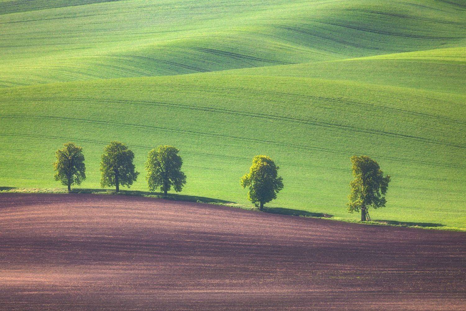 чехия, моравия, поля, весна, Евгений Матюшенков