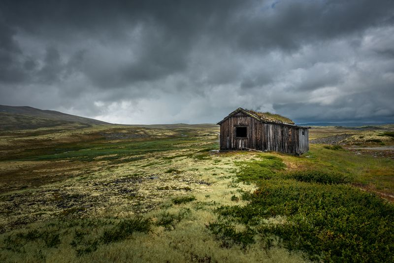 norway,nature Rondanephoto preview