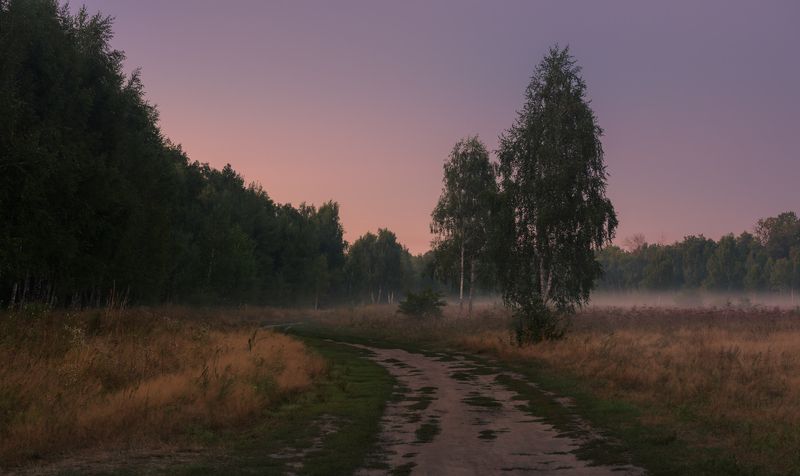 луг лето август рассвет туман И только вдалеке полоска туч алеетphoto preview
