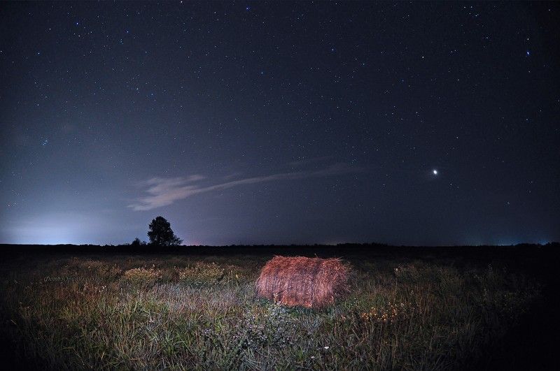 псковская обл, пейзаж, ночь, поле, звёзды, Летняя ночь.photo preview