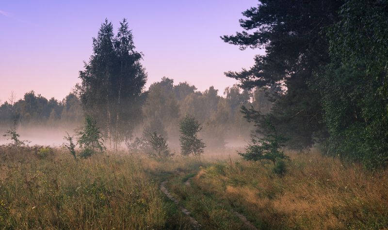 луг лето  август рассвет туман Царство тишиныphoto preview