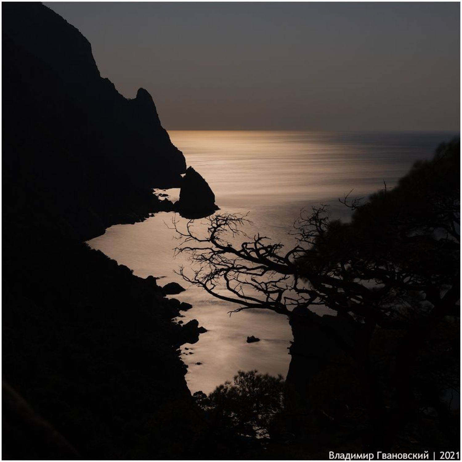 , Гвановский Владимир