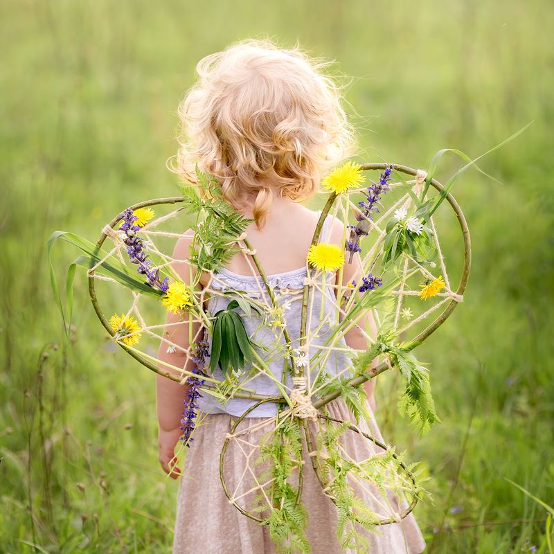 Полевая бабочкаphoto preview