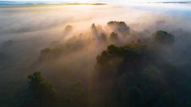 Туманное утроphoto preview