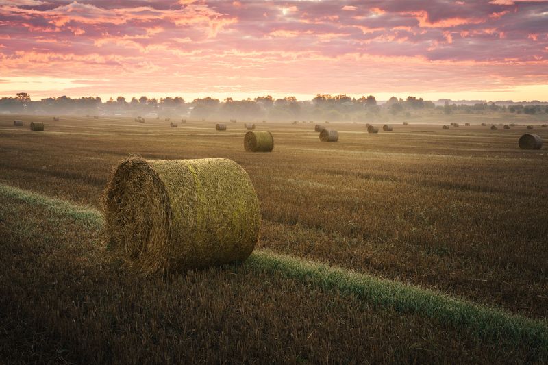 Конец летаphoto preview