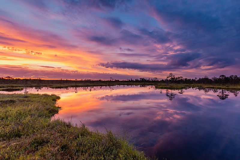 Рассвет на болоте.photo preview