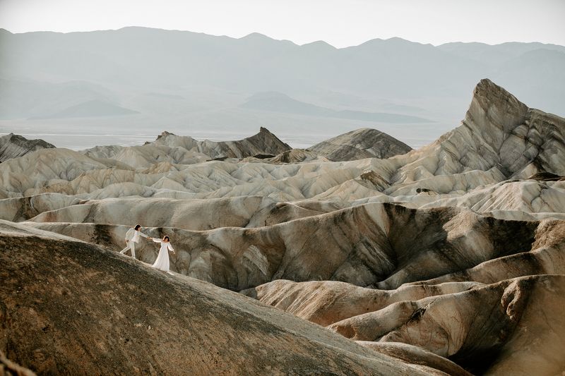 Забрискиphoto preview