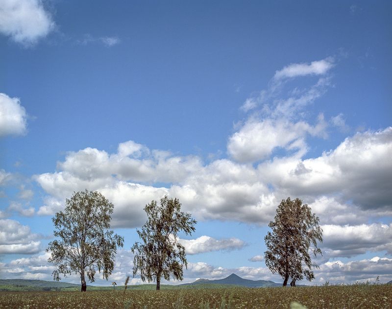 урал mamiya rb67 kodak portra160 Просторыphoto preview