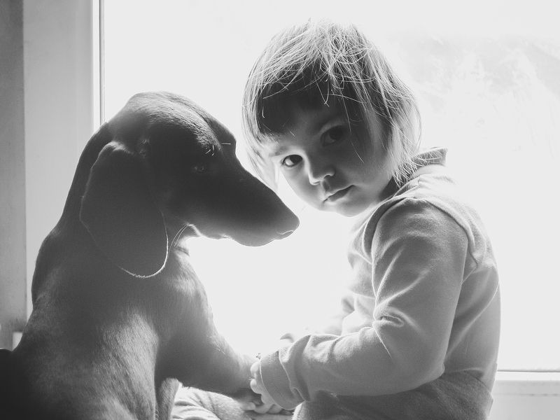 Лучший Друг фото превью