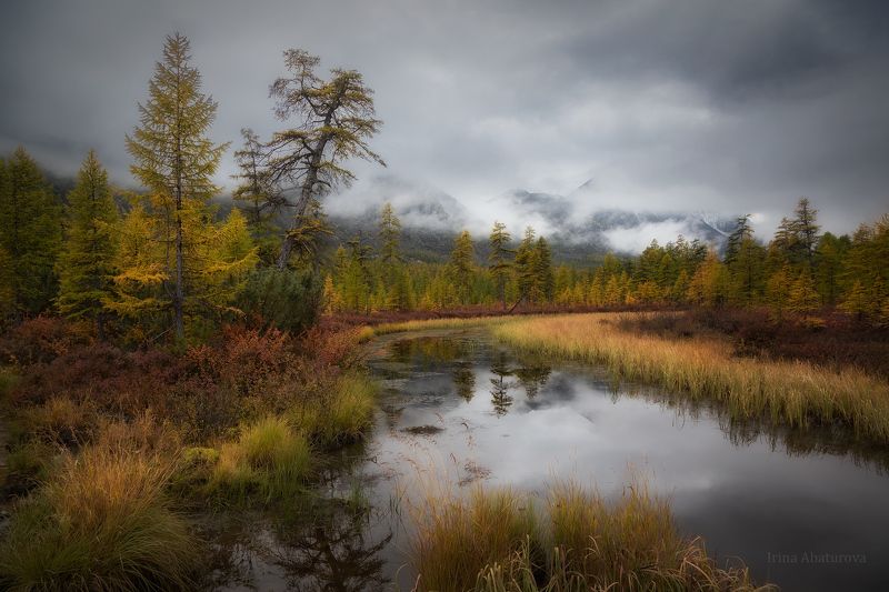 Колыма, Магадан, озеро Джека Лондона, осень, туман Затерянный мирphoto preview