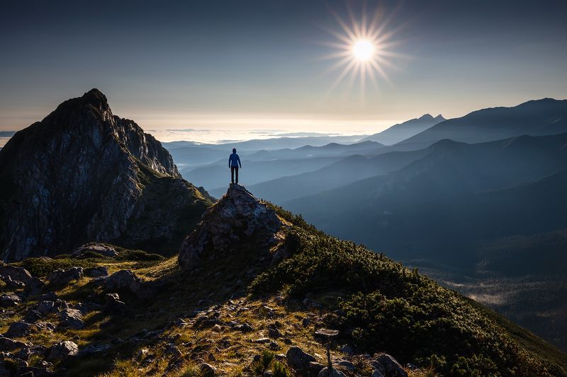 mountains, summer, poland, sunrise Morning in the Mountainsphoto preview