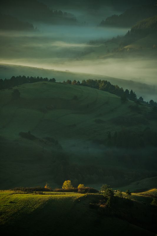 Sunrisephoto preview