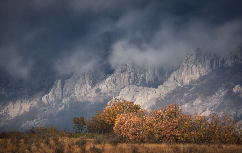 Тревожное... фото превью