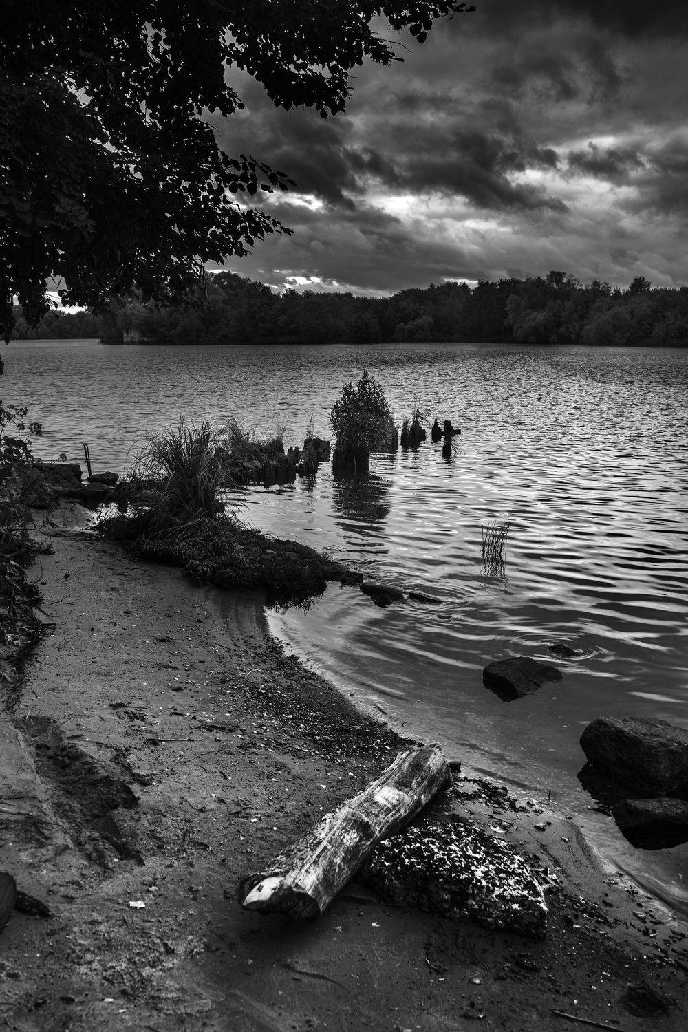 Автор: Алексей Егоров , Алексей Егоров