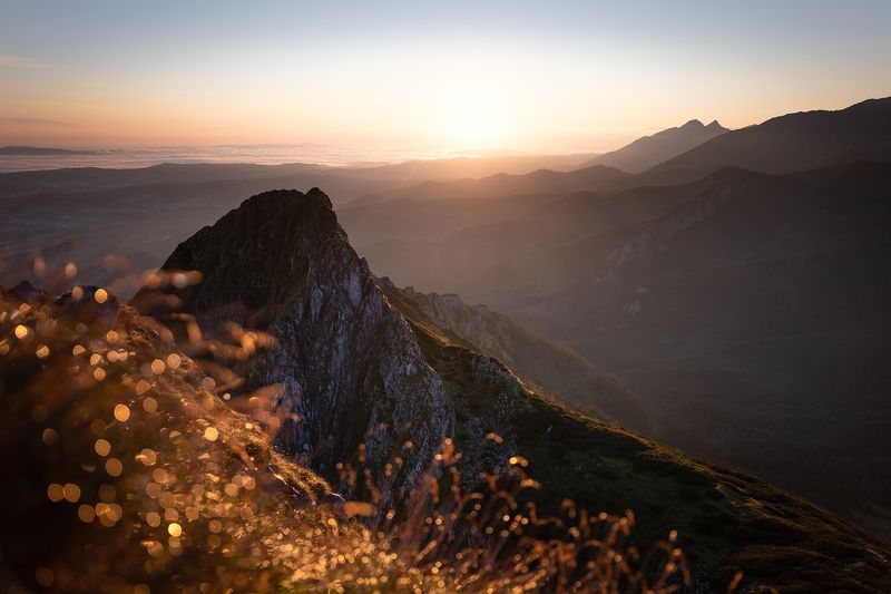 mountains, summer, poland, sunrise Morning in the Mountainsphoto preview