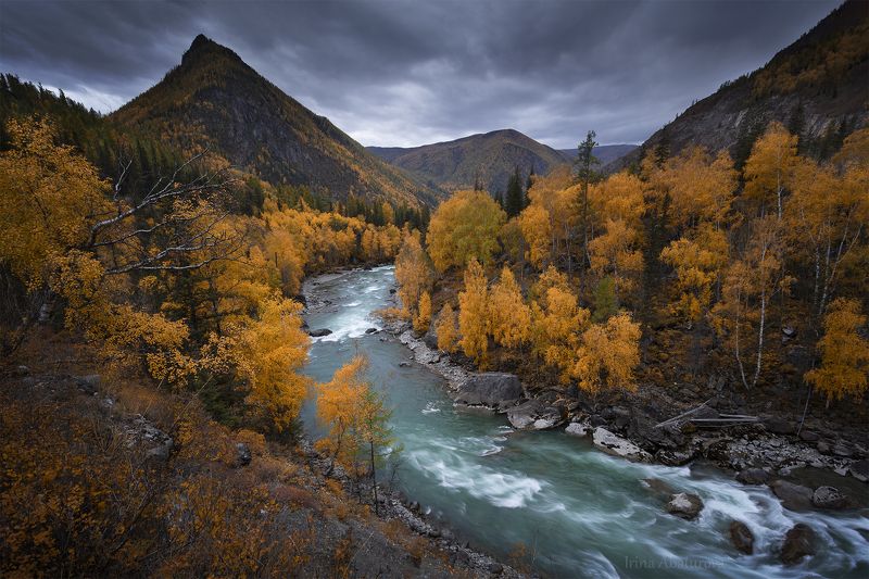 Алтай, Чуя, золотая осень, река, горы Пасмурный осенний деньphoto preview