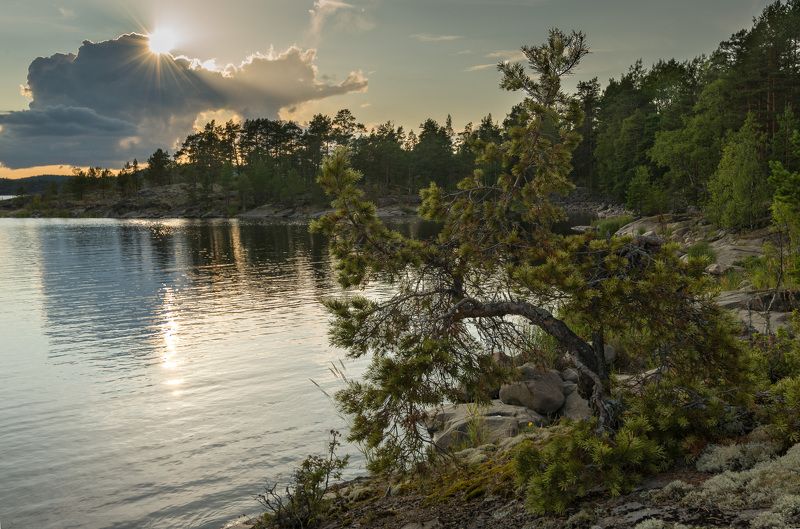 Ладожские шхерыphoto preview