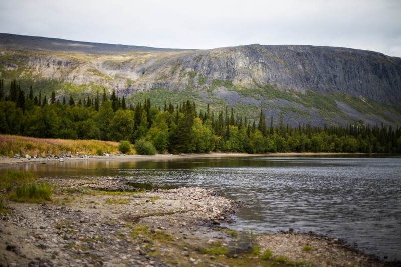 тундра, лес, озеро, лето, заказник Ловозерские тундрыphoto preview