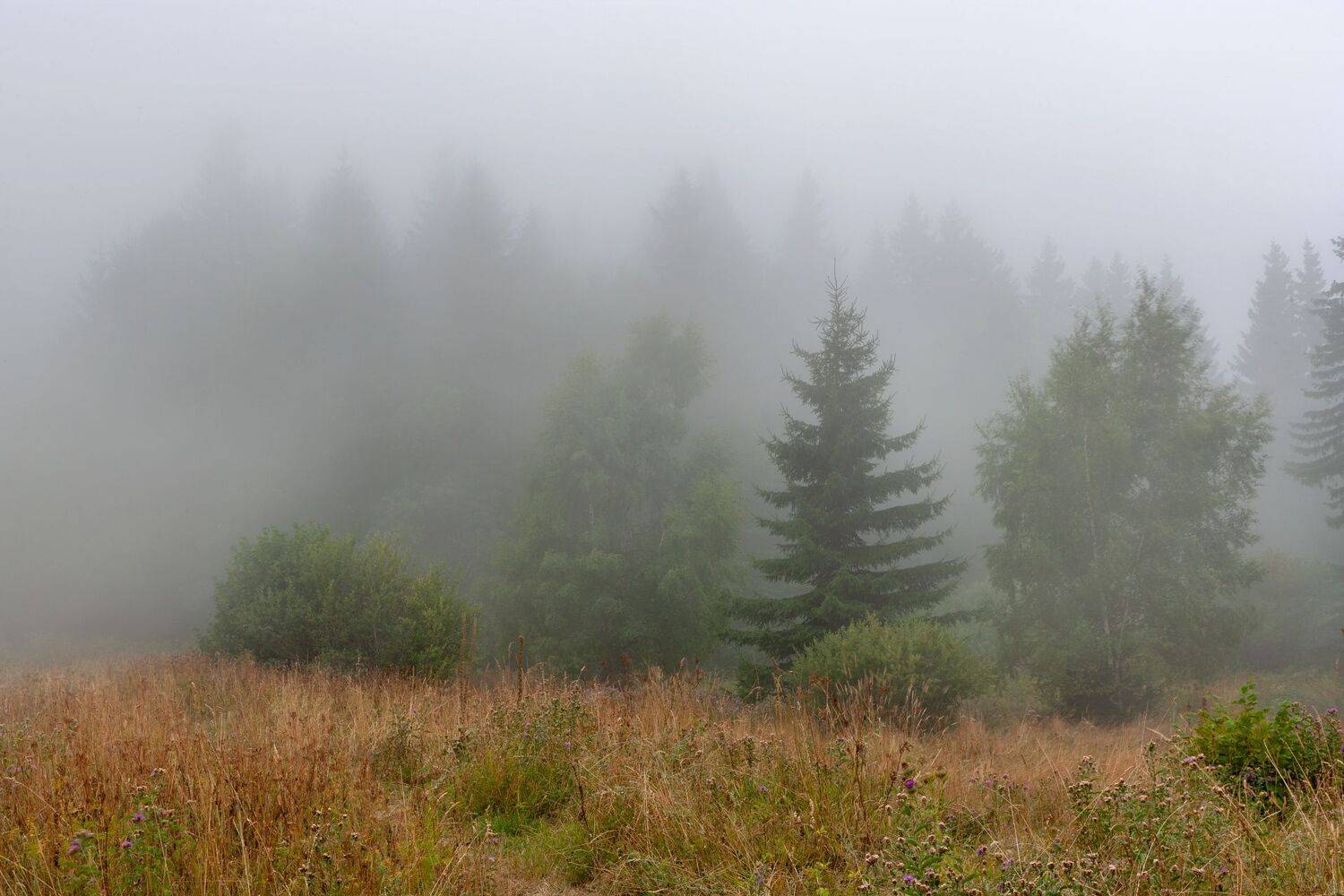 Осень уже близко.... Автор: Александър Сандев , Александър Сандев